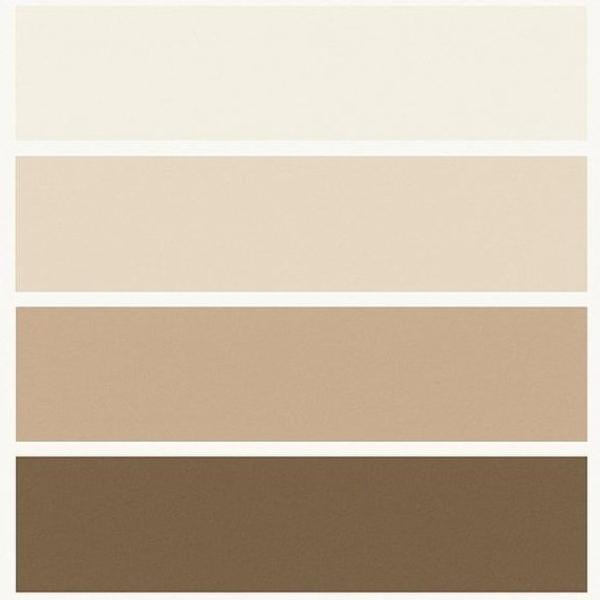 Colour sample chart from milk white to brown